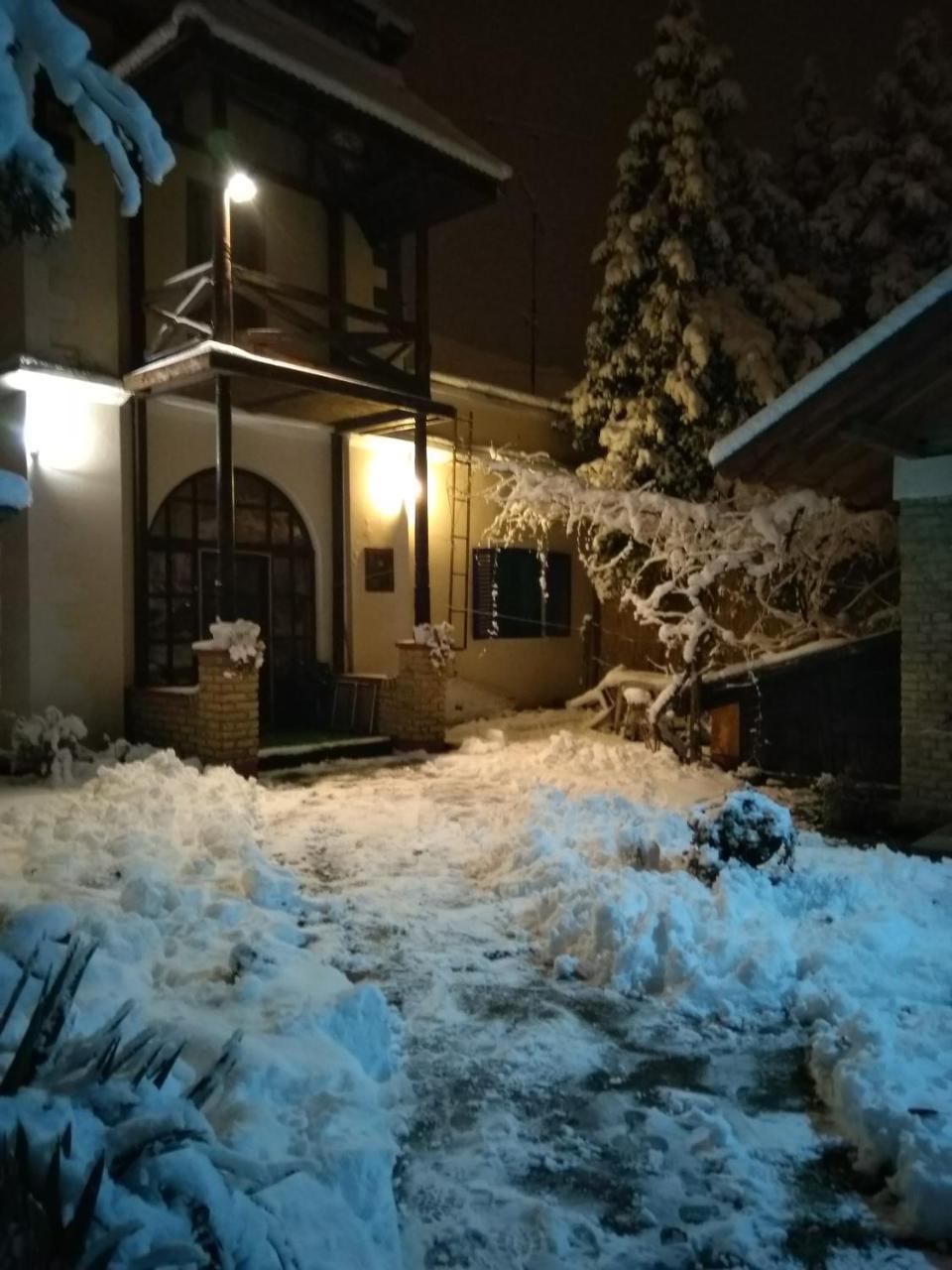 Nemeth Apartman Palics Kültér fotó